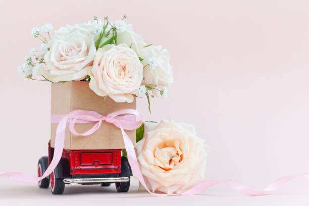 Sunfresh Flowers for Every Occasion